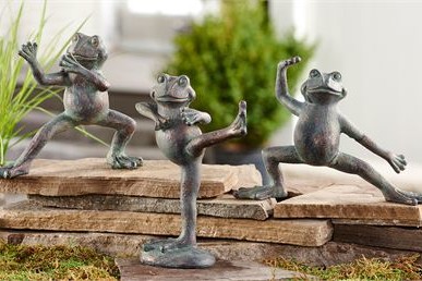 La grenouille et le taichi