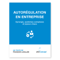 Ebook : Autorégulation en entreprise