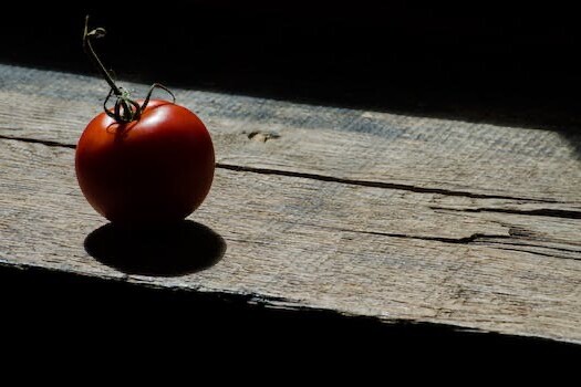 La tomate et les vacances